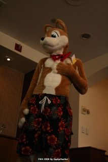 IMG_1081.jpg
