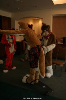 IMG_1119.jpg