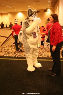IMG_1346.jpg