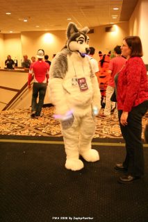 IMG_1348.jpg