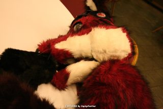 IMG_1356.jpg