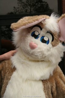 IMG_1593.jpg