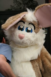 IMG_1594.jpg