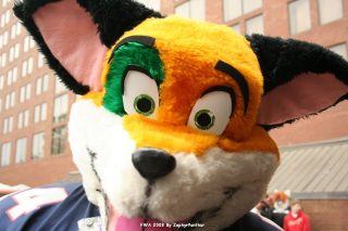 IMG_1611.jpg