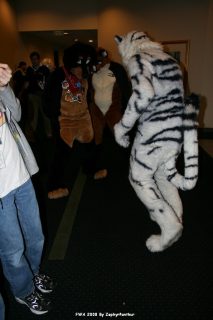 IMG_1631.jpg