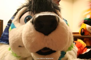 IMG_1642.jpg