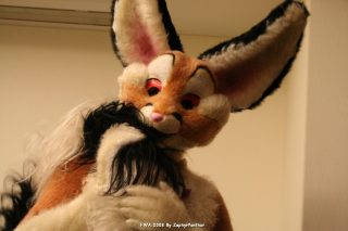 IMG_1645.jpg