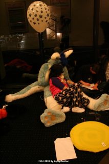 IMG_1767.jpg