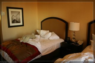 IMG_3140.jpg
