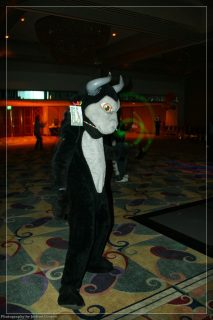 IMG_3176.jpg