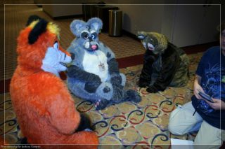 IMG_3286.jpg