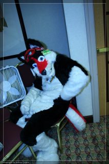 IMG_3288.jpg