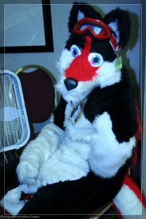 IMG_3289.jpg