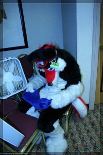 IMG_3299.jpg