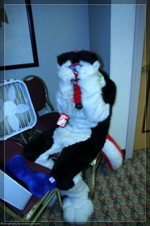 IMG_3303.jpg