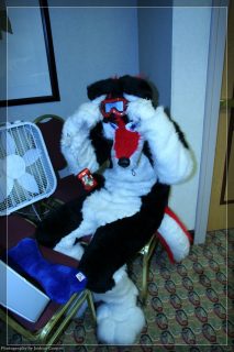 IMG_3304.jpg