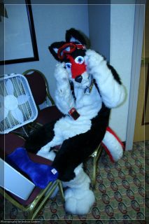 IMG_3307.jpg