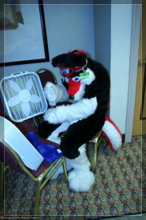 IMG_3312.jpg
