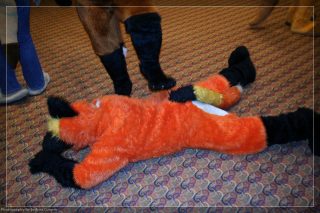 IMG_3344.jpg