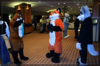 IMG_3356.jpg