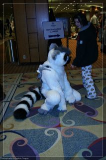 IMG_3408.jpg