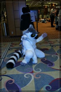 IMG_3410.jpg