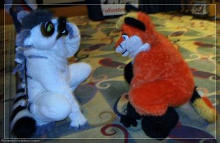 IMG_3420.jpg