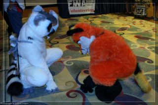 IMG_3421.jpg