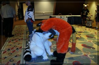 IMG_3426.jpg