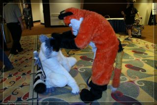 IMG_3429.jpg
