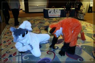 IMG_3431.jpg