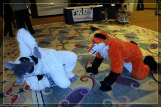 IMG_3432.jpg