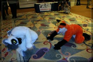 IMG_3433.jpg