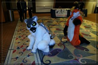 IMG_3437.jpg