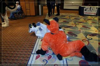 IMG_3445.jpg