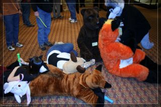 IMG_3470.jpg