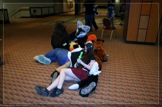 IMG_3472.jpg