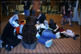 IMG_3491.jpg
