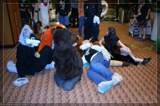 IMG_3494.jpg