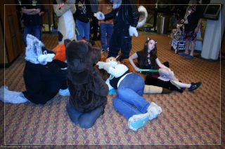 IMG_3495.jpg