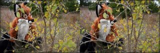 3D_DaleFox_2.jpg