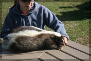 IMG_7767.jpg