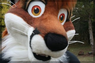 IMG_8217.jpg