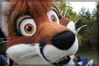 IMG_8236.jpg