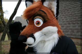 IMG_8251.jpg