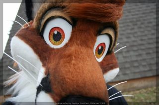 IMG_8254.jpg