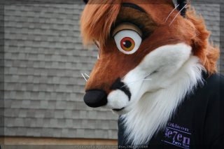 IMG_8335.jpg