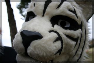 IMG_8380.jpg