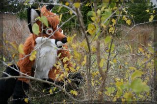 IMG_8416.jpg
