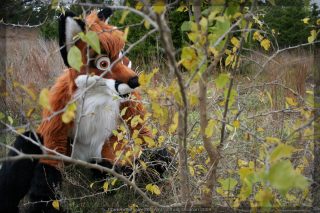IMG_8417.jpg